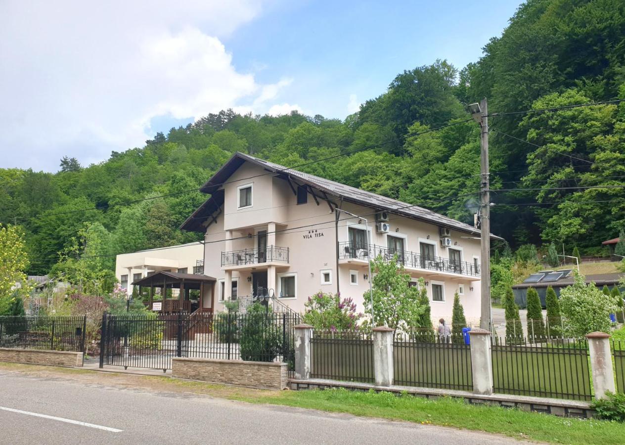 Vila Tisa Tismana Kültér fotó