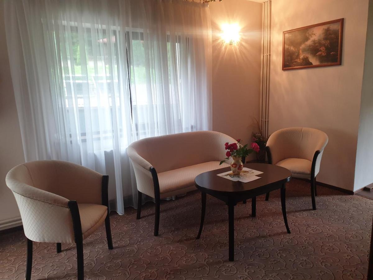 Vila Tisa Tismana Kültér fotó