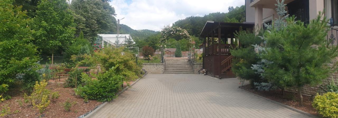 Vila Tisa Tismana Kültér fotó