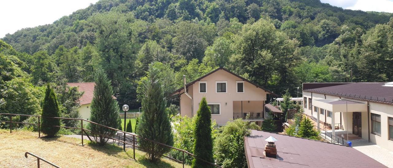 Vila Tisa Tismana Kültér fotó