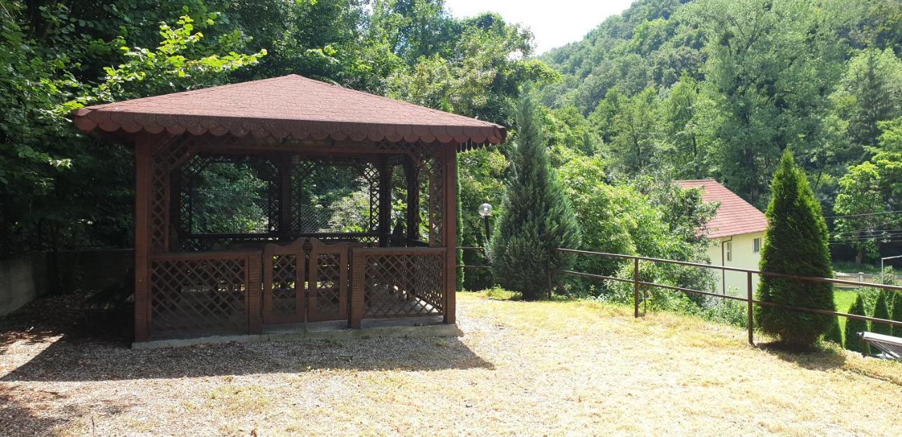 Vila Tisa Tismana Kültér fotó